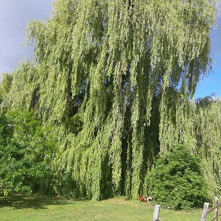 بيت ضيافة La Ferme Sympa