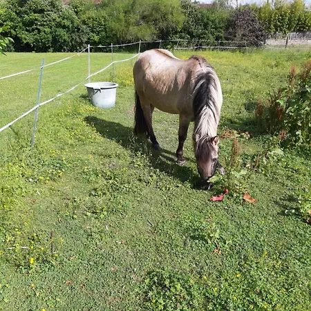 La Ferme Sympa بيت ضيافة 3*