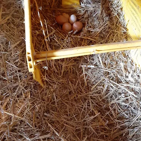 بيت ضيافة La Ferme Sympa