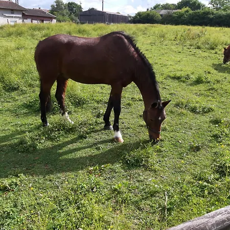 بيت ضيافة La Ferme Sympa